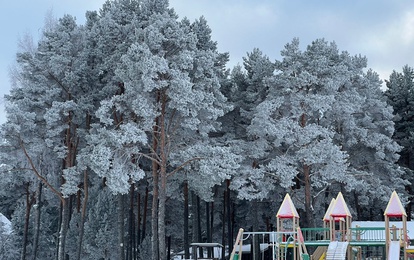 С 29 сентября по 26 декабря 2025 года мы запускаем серию осенне-зимних акций.